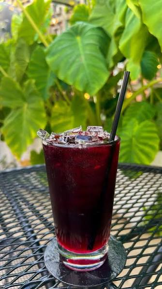agua de Jamaica 16 onz